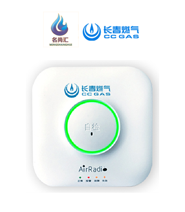 918博天堂报警器（天然气）